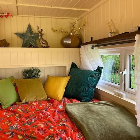 Neddys Rest Luxury Horsebox Stay Battle Eksteriør billede